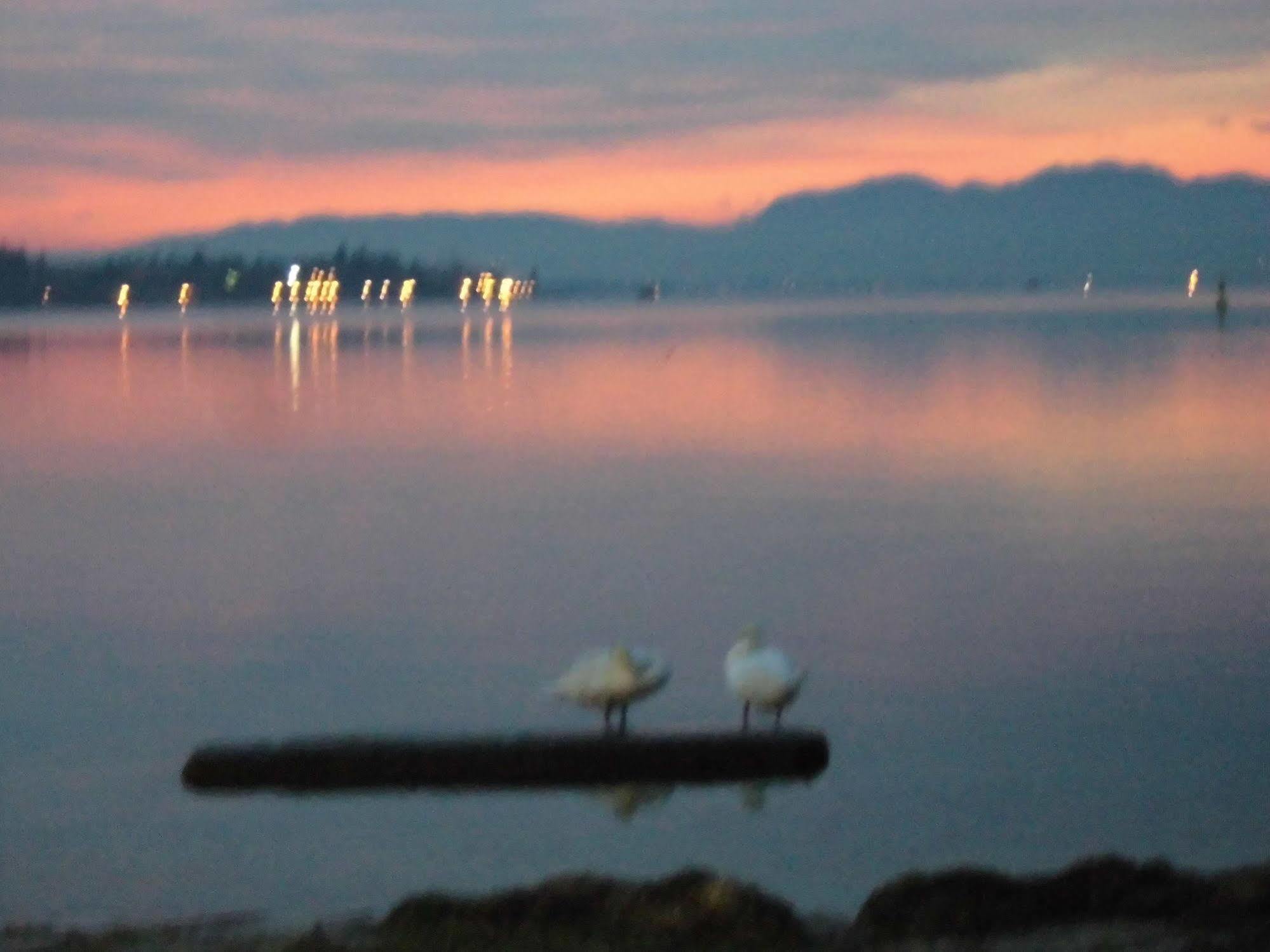 Hotel Benaco Mavras Peschiera del Garda Luaran gambar